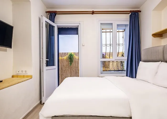 Cozy Studio Flat With Backyard In Sisli