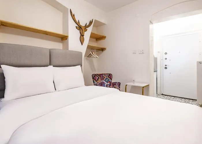 Cozy Studio Flat With Backyard In Sisli